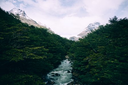 river between trees during daytime