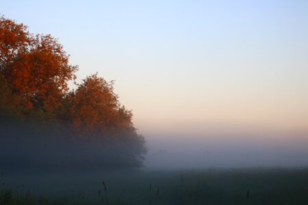 Nature mood morning mist photo