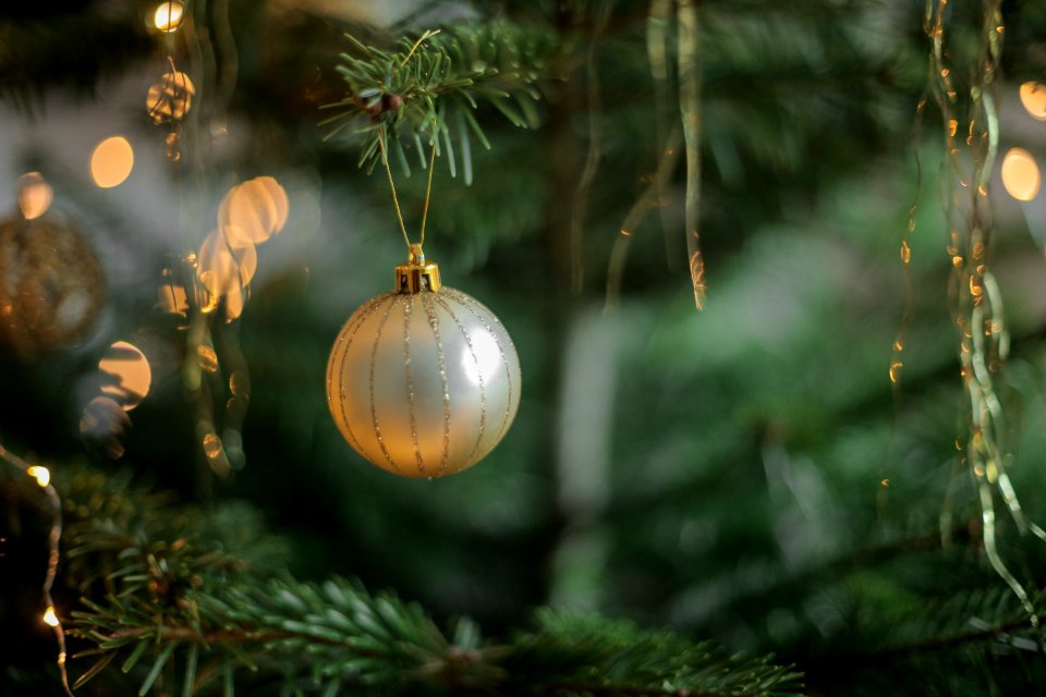 Ruhr, Germany, Christmas tree