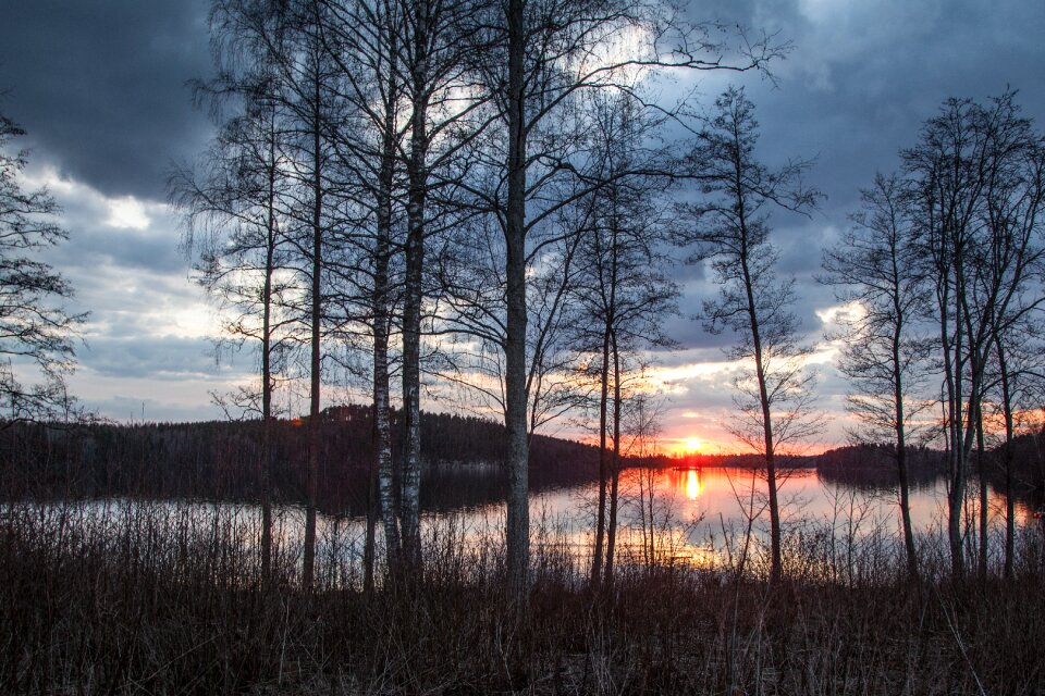 Evening lake landscape