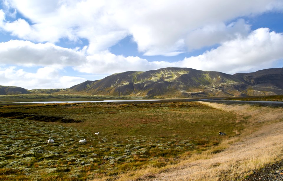 photo of green grass field and mountain under blue sky