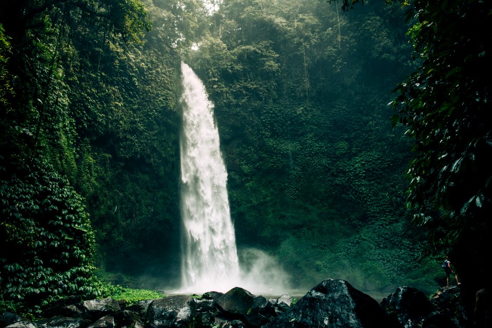 River, Indonesia, Jungle