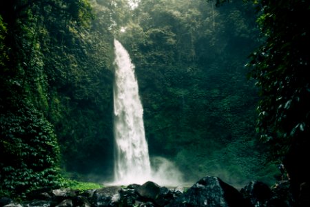 River, Indonesia, Jungle