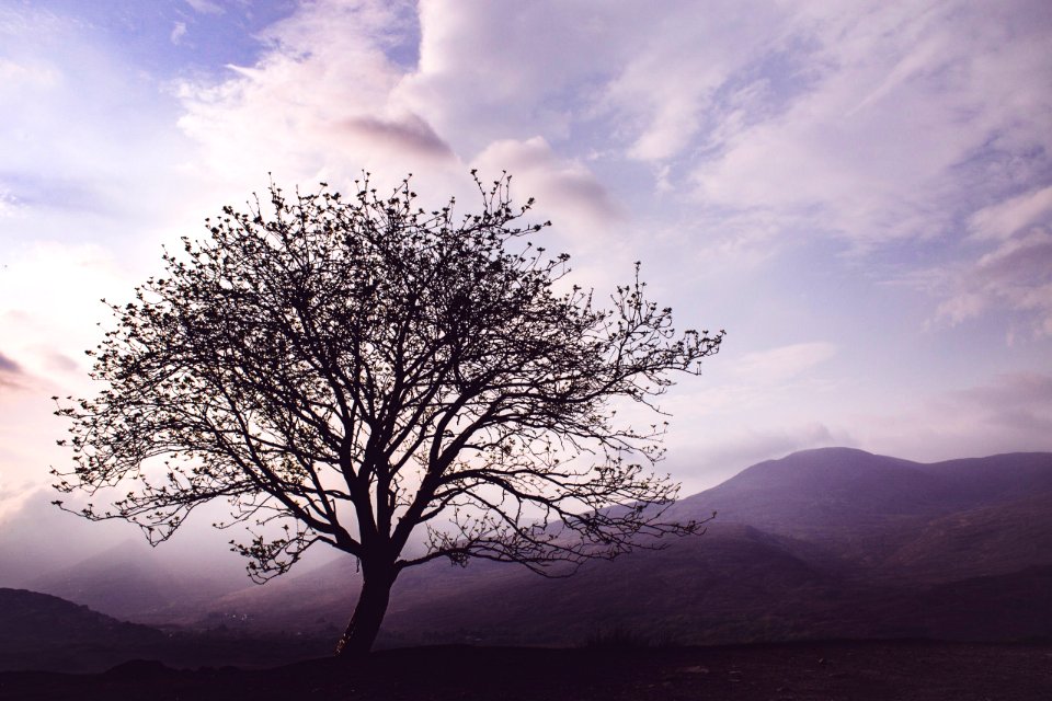 Ring of kerry, Irel, Killarney