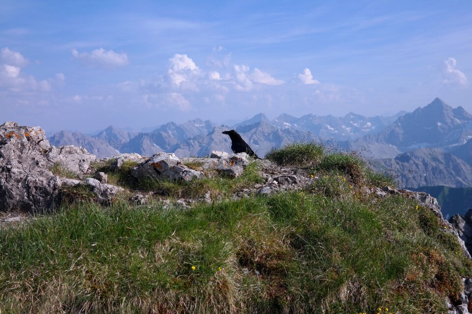 Alpine allgäu allgäu alps