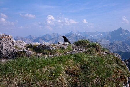 Alpine allgäu allgäu alps