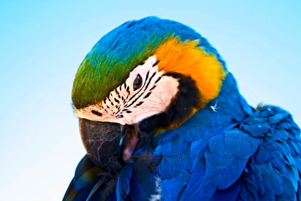 Colors, Colorful, Nature