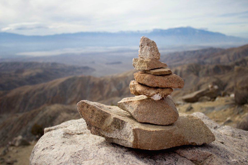 Joshua tree national park, United states, Duck