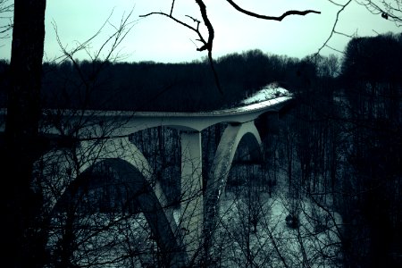 Franklin, United states, Forest