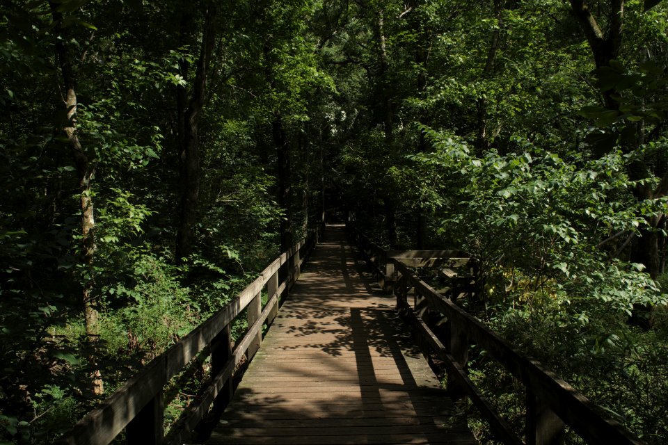 Radnor lake, Oak hill, United states