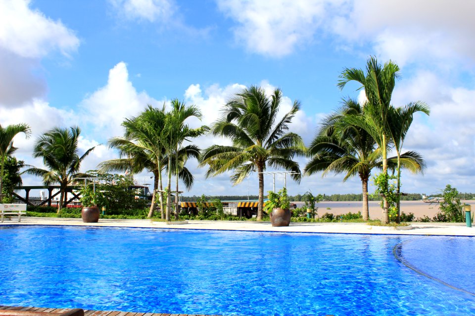 Swimming pool, Sky, Coconut