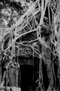 Angkor wat, Krong siem reap, Cambodia photo