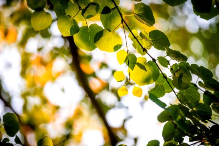 Waveny park, New canaan, United states
