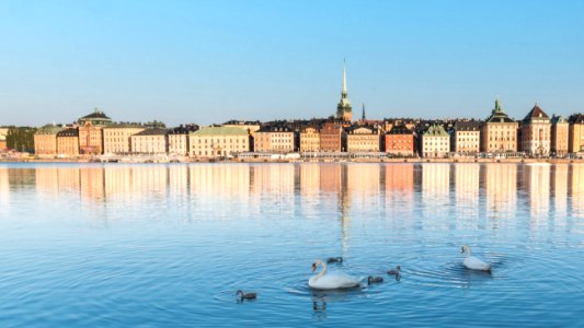 Urban scene, Water, Urban skyline