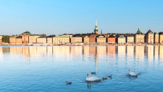 Urban scene, Water, Urban skyline photo