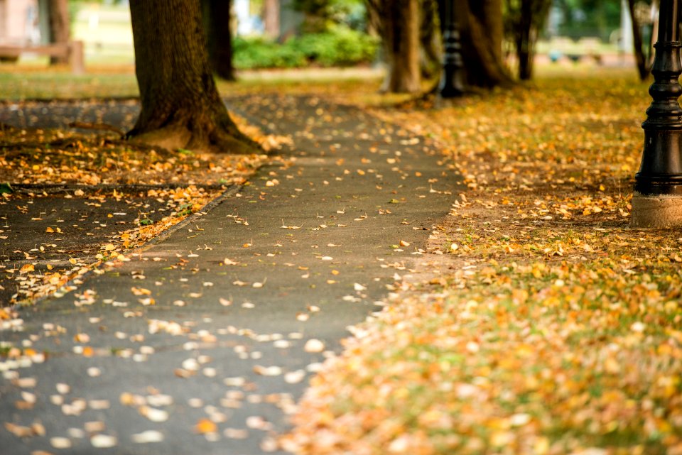 Waveny park, New canaan, United states