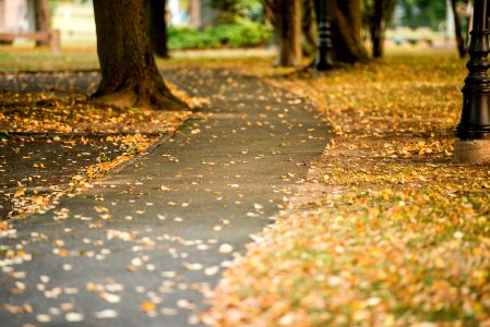 Waveny park, New canaan, United states