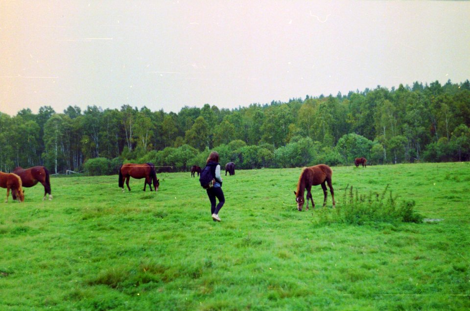 Nikolayevka, Russia, Vilage