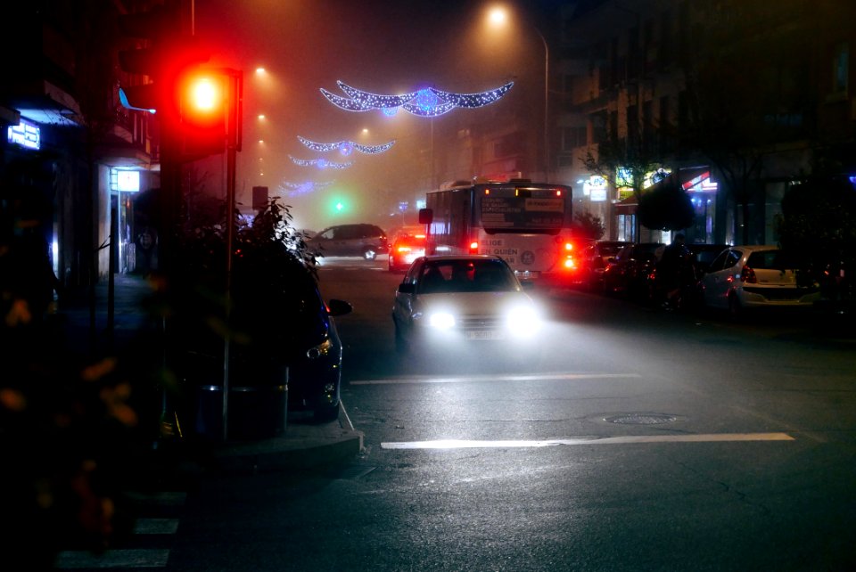 Photo, Christamas, Bokeh