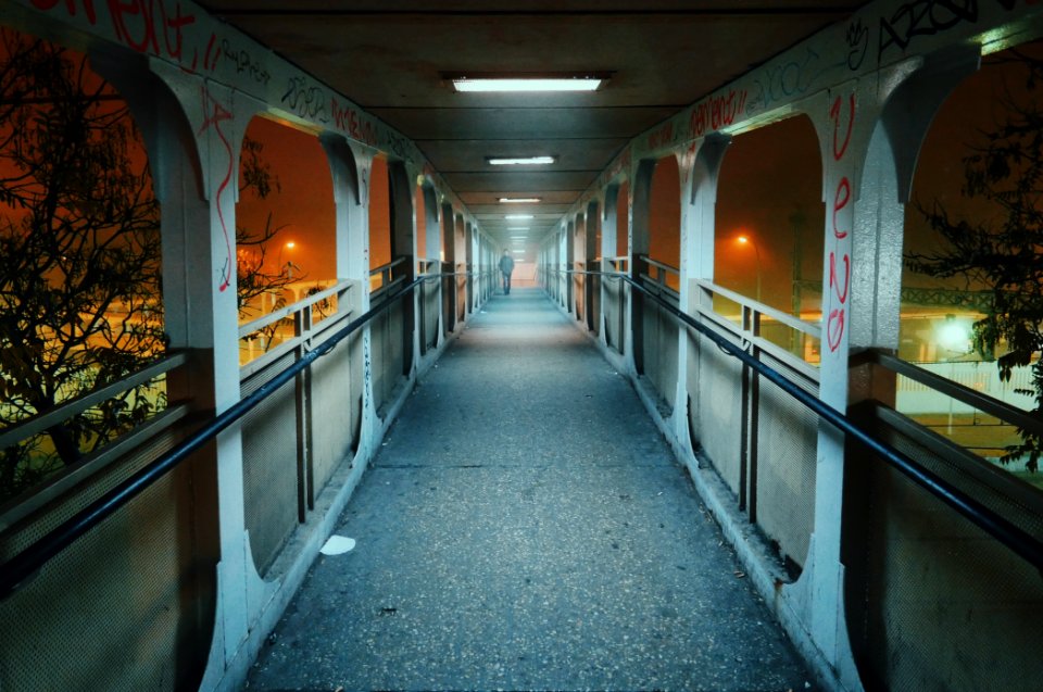 Fog, Street, Bridge