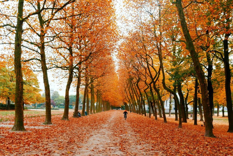 Brussels, Belgium, Autumn