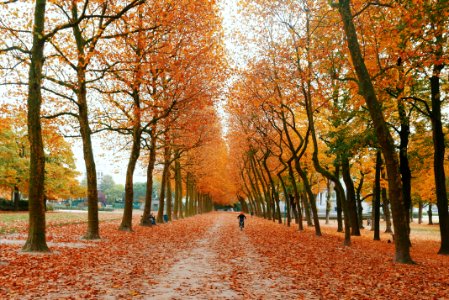 Brussels, Belgium, Autumn photo