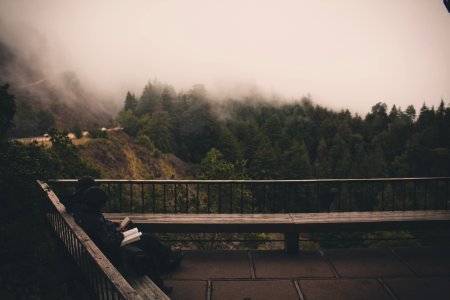 two people sitting on outdoor bench with cloudy sky and pine trees photo