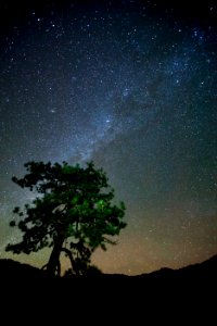 Yosemite national park, United states, Camping photo