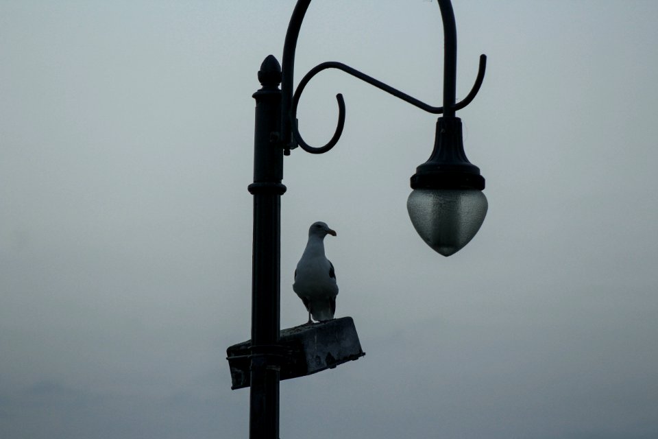 Santa monica pier, Santa monica, United states