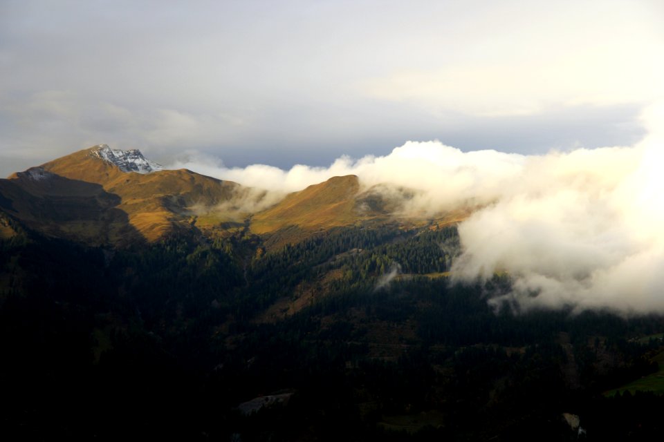 Fog, Mountain