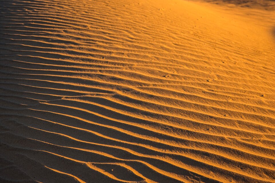 Sahara morocco berber