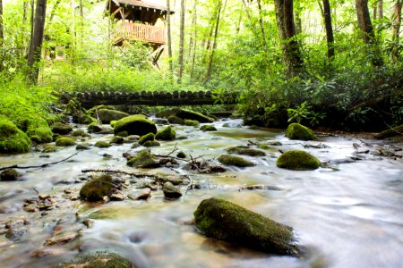 Mountains, North carolina, River photo