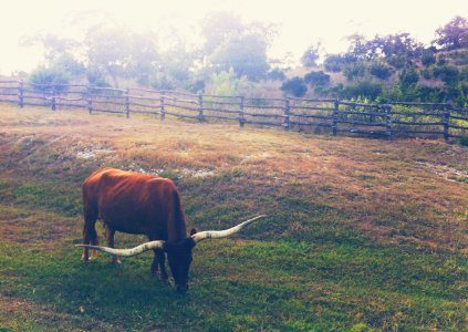 Boerne, United states, Summer