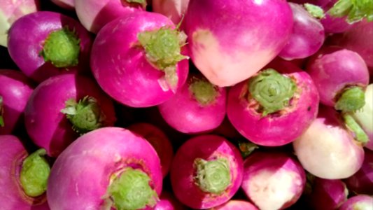 Healthy living, Vegetables, Turnip photo