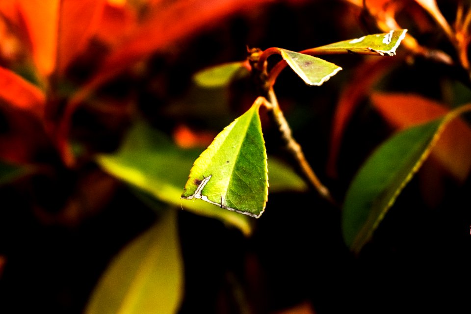 untitled