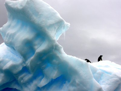 two penguins standing on top of glacier photo