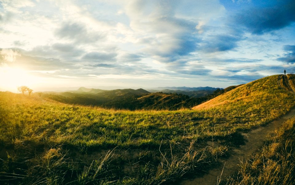 Gold, Hill, Scape photo