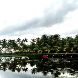 India, Kumarakom lake resort, Kottayam