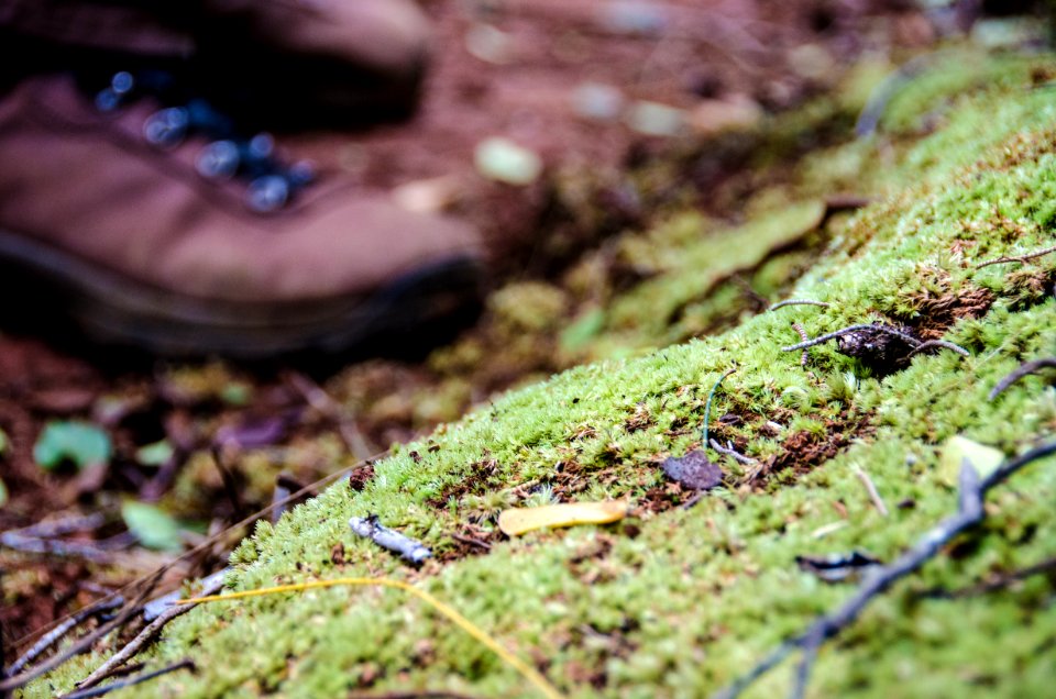 Hawaii, United states, Dirt
