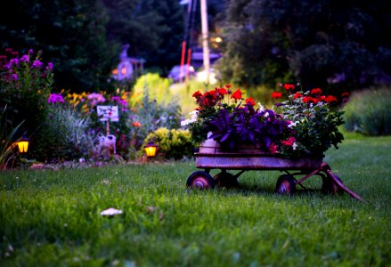 Cascade, United states, Garden