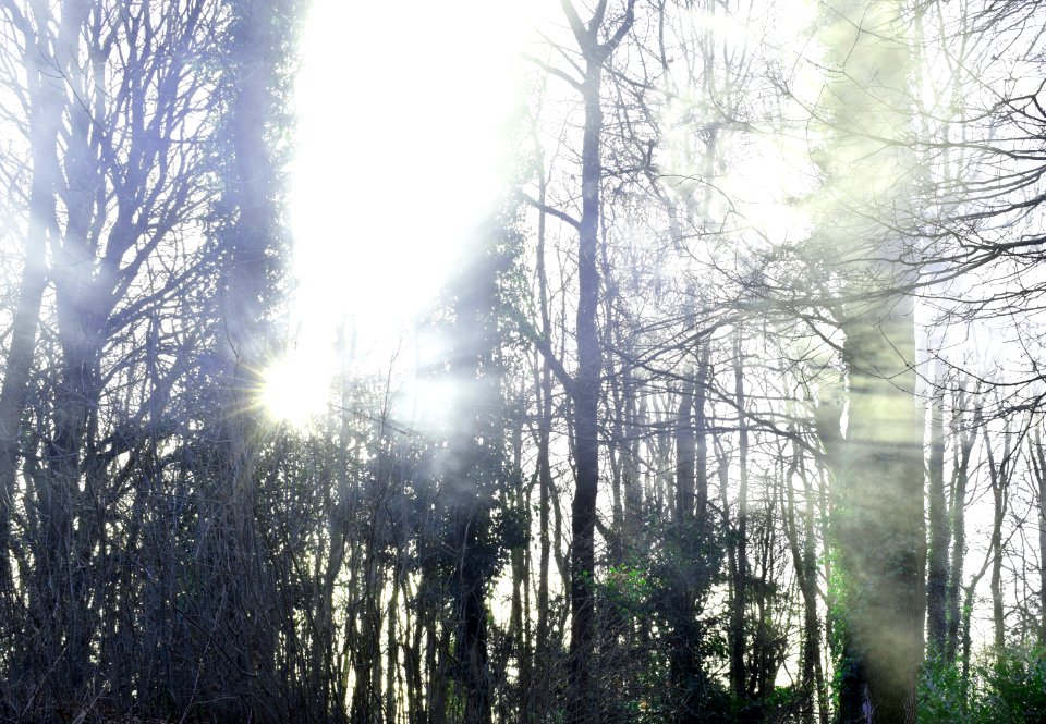 Spooky, Dramatic, Sunshine
