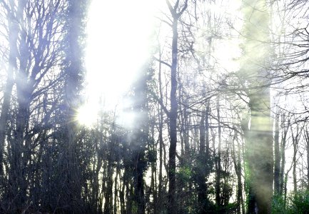 Spooky, Dramatic, Sunshine