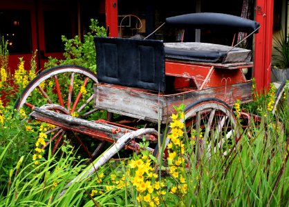 Country village shops, Bothell, United states photo