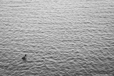 aerial view photography of person in ocean during daytime photo
