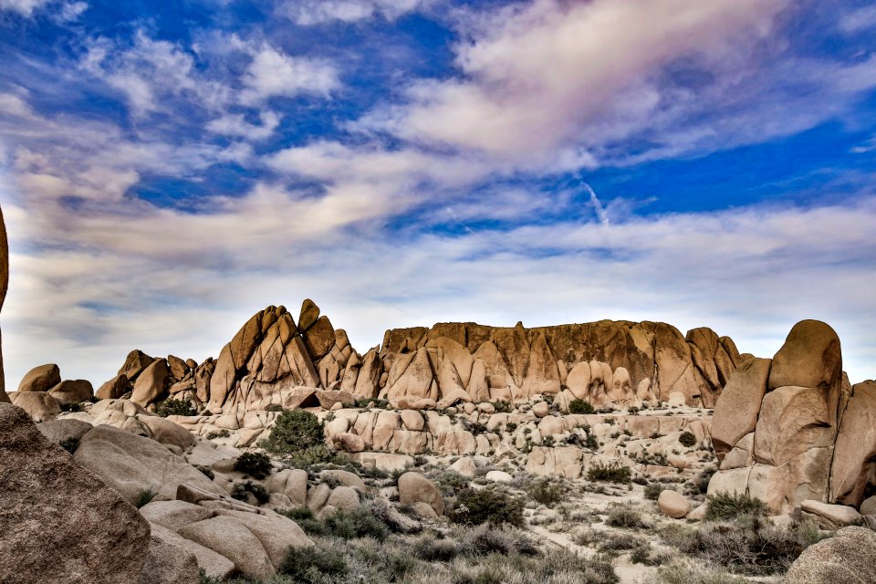 Joshua tree national park, United states, Desert photo