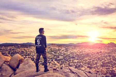 Joshua tree national park, United states, View photo