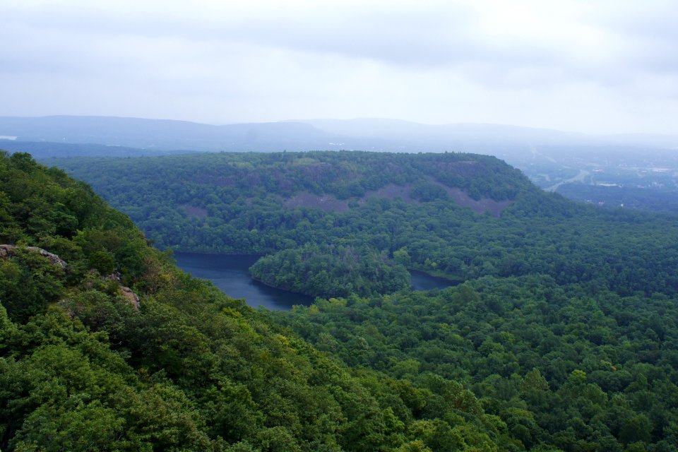Trees, Mountains, Nature