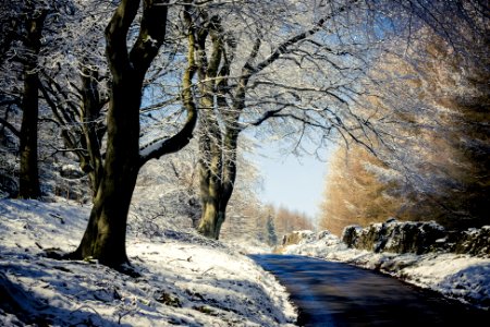 Errwood reservoir, Buxton, United kingdom