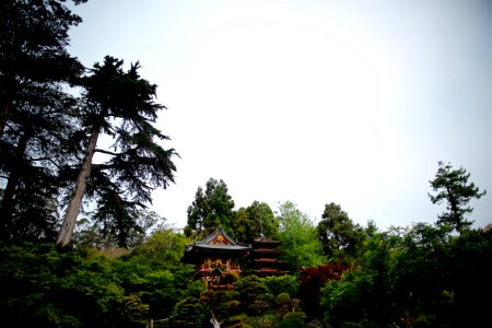 San francisco, Japanese tea garden, United states photo