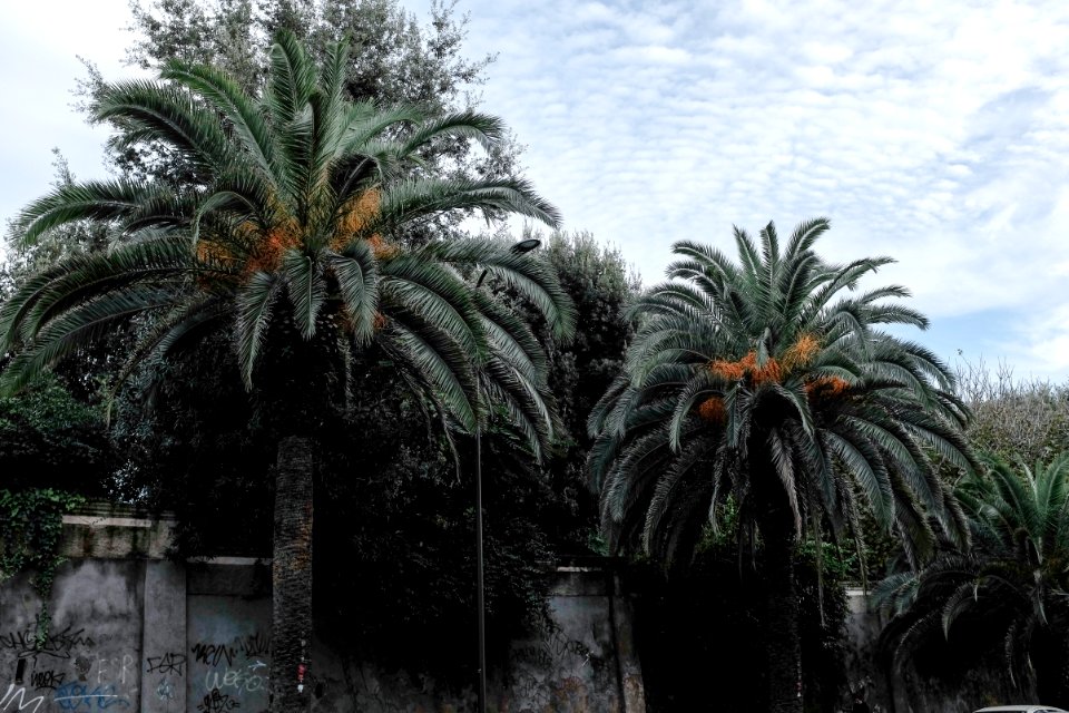 Anzio, Italy, Holiday